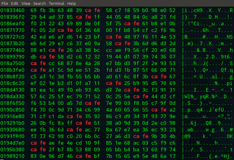 cat /dev/urandom | hexdump -C | grep 'ca fe'